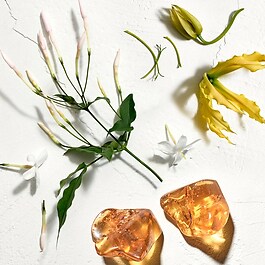 Sun - Eau de Toilette
